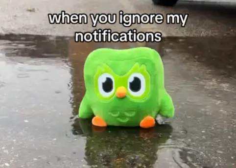 Duolingo plush toy sitting in a puddle on the middle of the road, why it's raining, with the captions 'when you ignore my notifications'