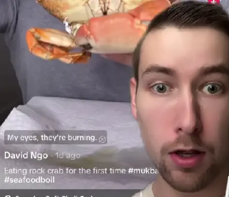 Nick Smithyman reacting to a TikTok video of someone eating a crab